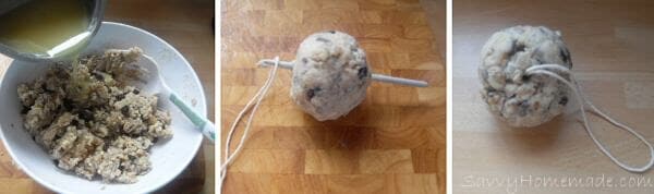bird food suet