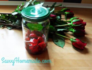 rose oil infusion