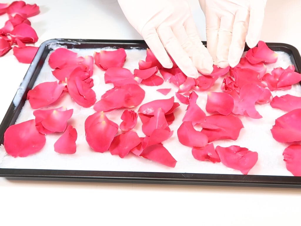Rose petals being pressed into hardened coconut oil on a baking tray