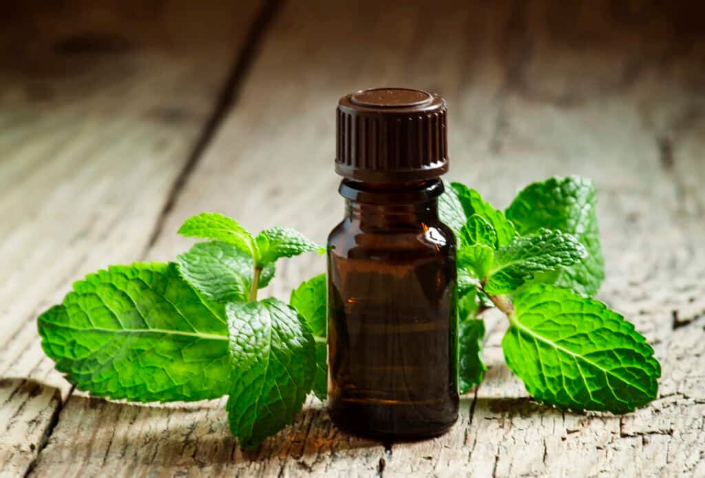 Peppermint essential oil