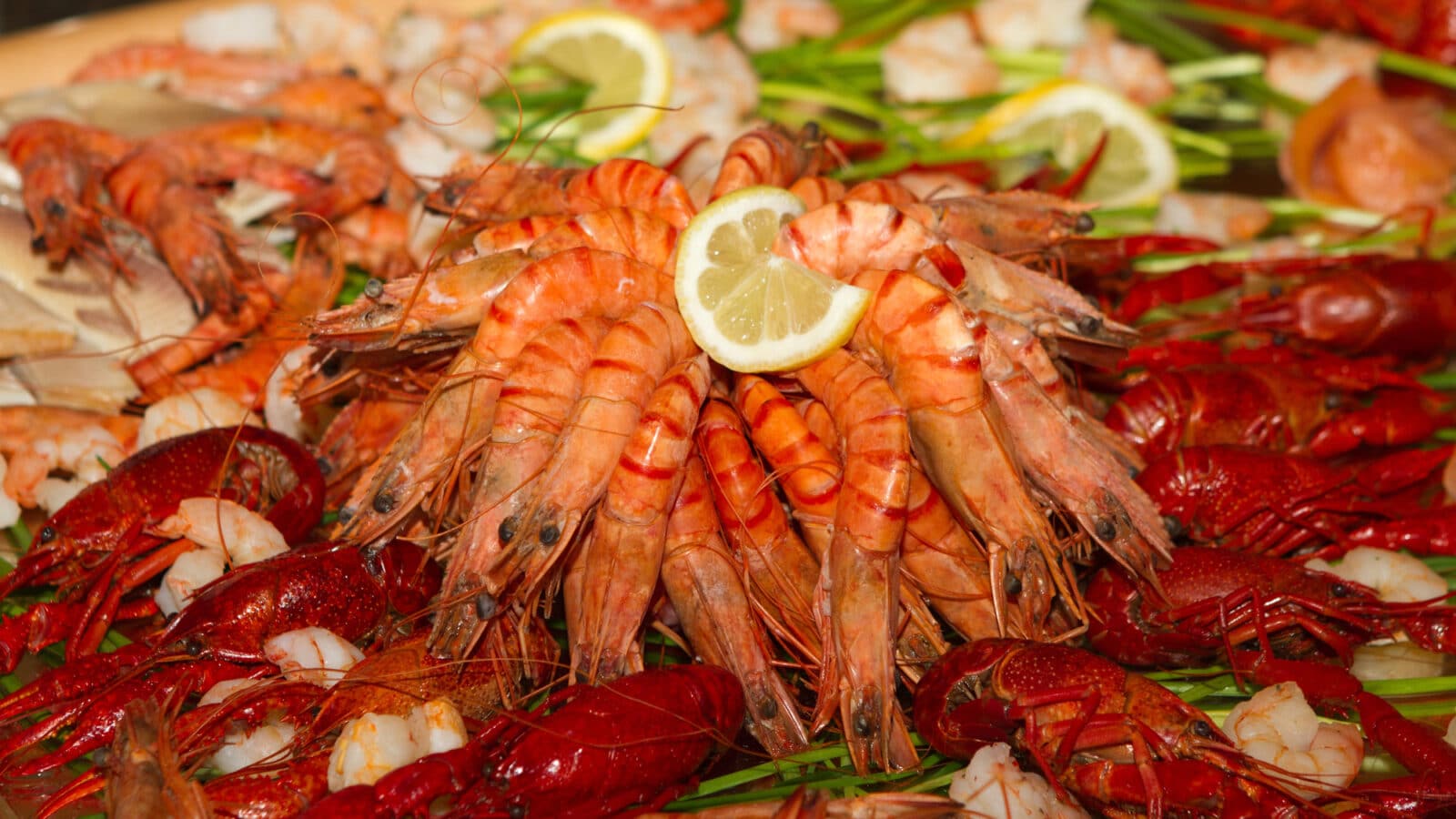 Shellfish