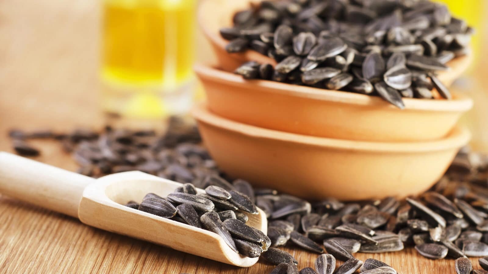 Sunflower Seeds
