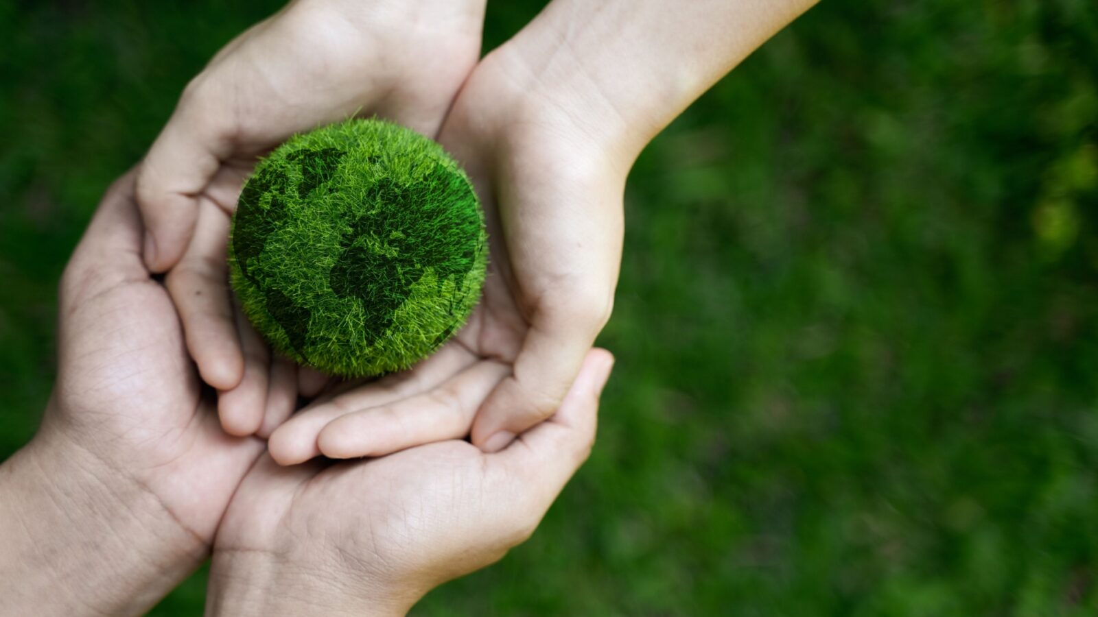 environmentally friendly