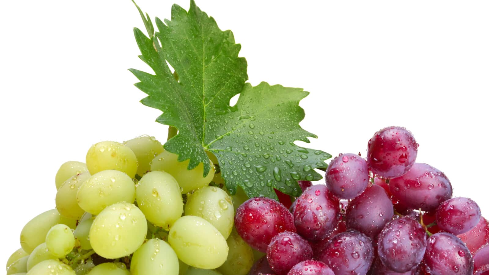 grapes