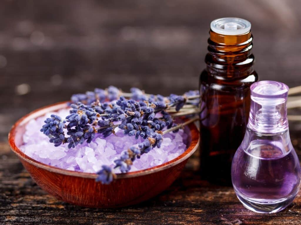 lavender essential oil