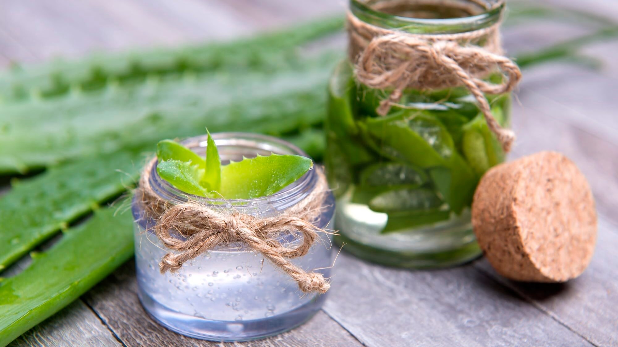 aloe vera gel aloe vera gel