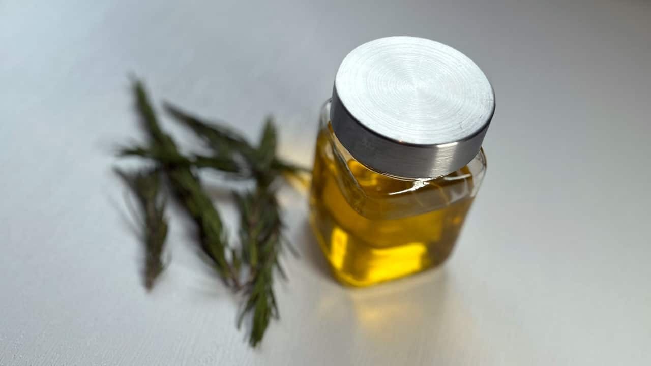 A mason jar of cold extracted rosemary oil sits next to several sprigs of rosemary A mason jar of cold extracted rosemary oil sits next to several sprigs of rosemary