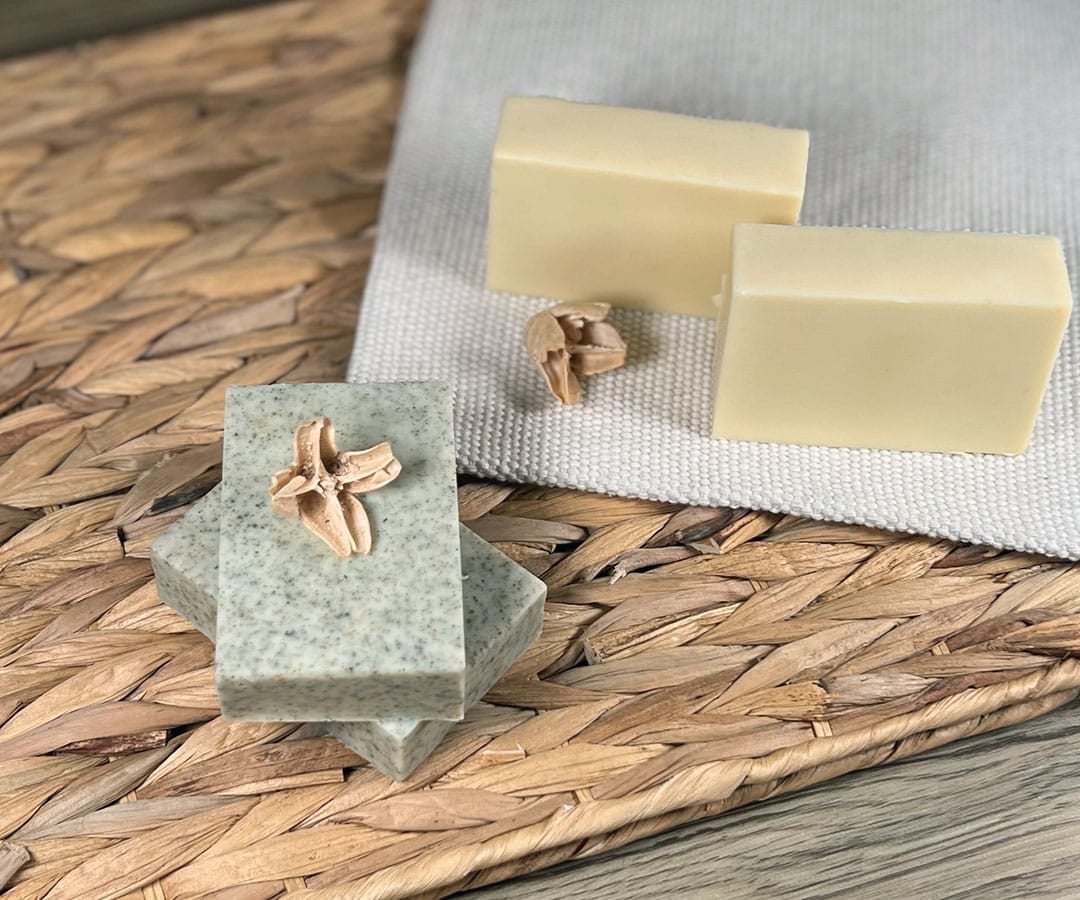 Two bars of castile soap, one plane and one with nettle leaf powder Two bars of castile soap, one plane and one with nettle leaf powder